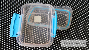 I've searched high and low and these are hands down the best school lunch containers we've found. Plus, they fit in any size lunch box.