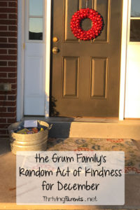 Our family has completed December's Random Acts of Kindness! What can you do for someone this month?